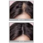 Cover Your Gray Fill In Powder Pro - Image 2